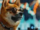 Dogecoin price holds $0.20 support, is a $0.32 rally coming?