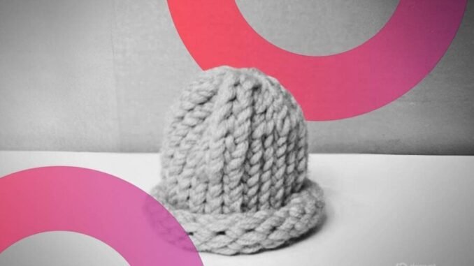 Dogwifhat Knitted Hat Sells for $800,000 to Founder of Meme Coin Launchpad