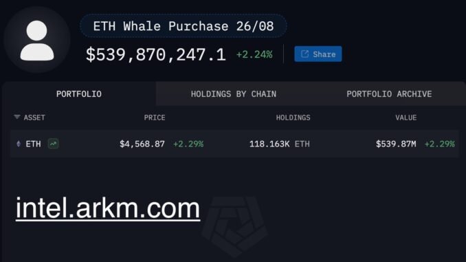 Ethereum Whale Portfolio 