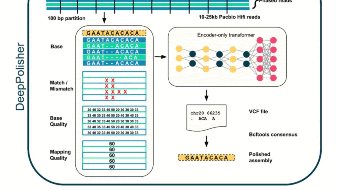 Google AI Releases DeepPolisher: A New Deep Learning Tool that Improves the Accuracy of Genome Assemblies by Precisely Correcting Base-Level Errors