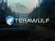 Google secures option for 8% stake in Bitcoin miner TeraWulf via $1.8B backstop deal