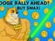 Grayscale Pushes for a DOGE ETF – Here’s Why Maxi Doge ($MAXI) Could Be the Real Winner