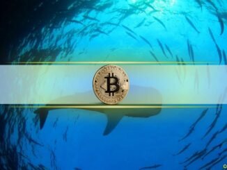 Historical Data Hints at Upward Price Momentum