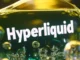 Hyperliquid primed for breakout as price targets new all-time high