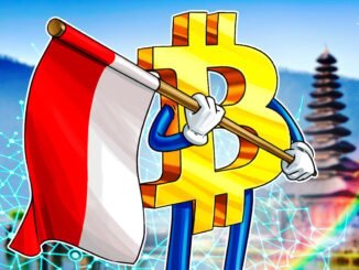 Indonesian Government Is Considering A Bitcoin Reserve
