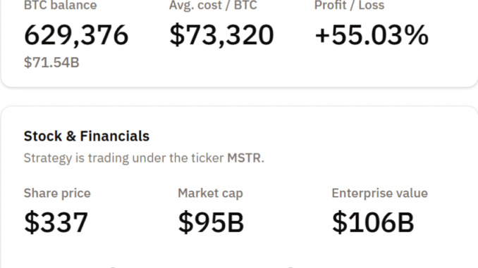 Is MicroStrategy’s Bitcoin Flywheel Facing Its First Real Stress Test? MicroStrategy BTC Holdings