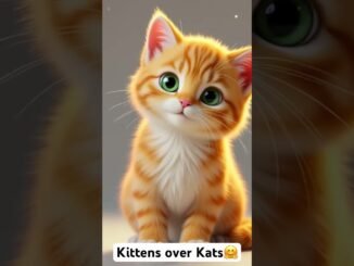 Kitty brought to life by Grok Imagine | GROK #ai #noordeen #mycat #lovelycat #catppl #kitty #garb