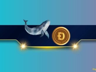 Massive DOGE Whale Activity Hints at $1 Breakout