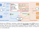 Meet M3-Agent: A Multimodal Agent with Long-Term Memory and Enhanced Reasoning Capabilities