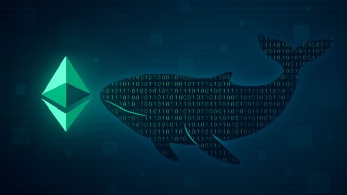 Mysterious Whale Buys $123M In Ethereum: Quiet Smart Money Accumulation?