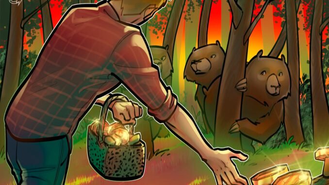 Next Crypto Bear Market Could Be Years Away