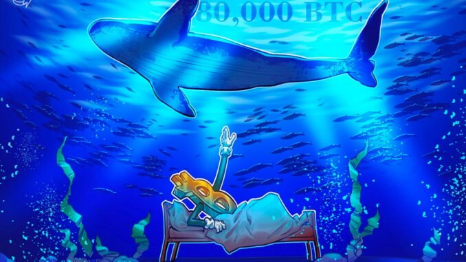 Quantum threat to Bitcoin? 80,000 BTC just moved after 14