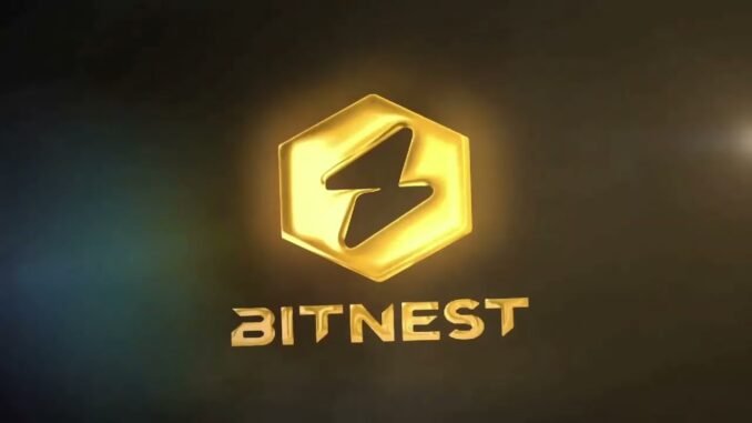 Renovação de contrato, Bitnest | Uma nova era de finanças Web3