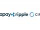 Ripple and Circle invest in cross-border payments startup Tazapay