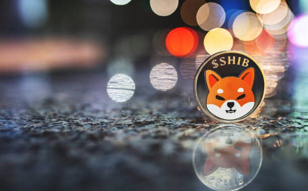 Shiba Inu 699,000% Imbalance: What Happened To Trigger It? Shiba Inu