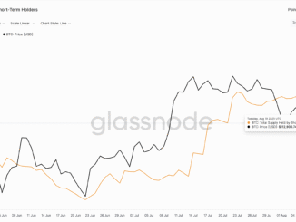 Bitcoin price and short-term holder supply