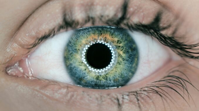 SoundHound is giving its AI the power of sight