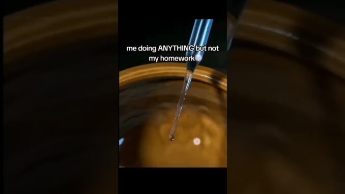 Talking to ChatGPT is the name of the song