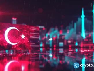 Turkey detains Ethereum developer over alleged role in network misuse