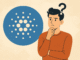 Cardano news
