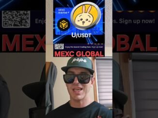 $U - U TOKEN USAGI CTO CRYPTO COIN HOW TO BUY MEXC GLOBAL BNB MEMECOIN BSC BLOCKCHAIN PANCAKESWAP