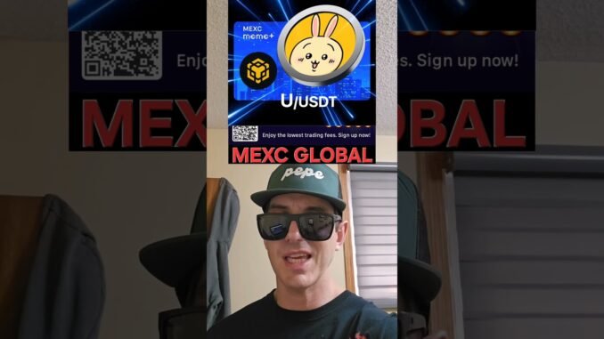 $U - U TOKEN USAGI CTO CRYPTO COIN HOW TO BUY MEXC GLOBAL BNB MEMECOIN BSC BLOCKCHAIN PANCAKESWAP