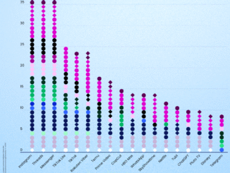Digital Privacy in Europe