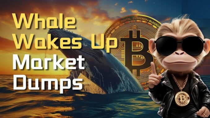 Wall Street Bets Big on Solana: $1B for AI Coins! Whale Dumps, Aave TVL Record. #Web3Daily #Bitcoin