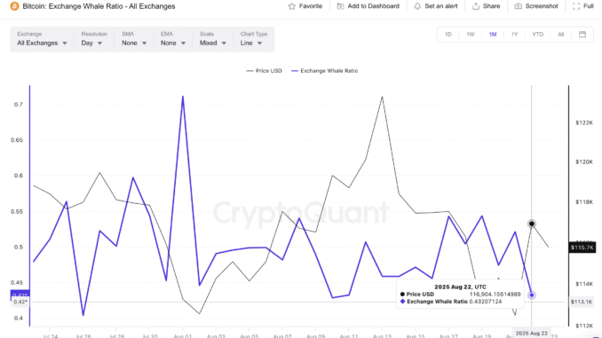 Whale Indicators Show a New Price Direction For Bitcoin Bitcoin Whales are Now Selling Fewer Tokens