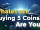 Whales are buying 5 Coins...Are You? | Web 3 | 3.0 TV