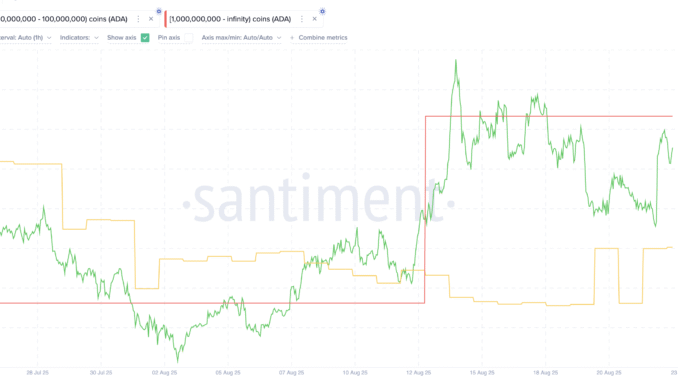 Cardano as one of the Coins Crypto Whales are Buying