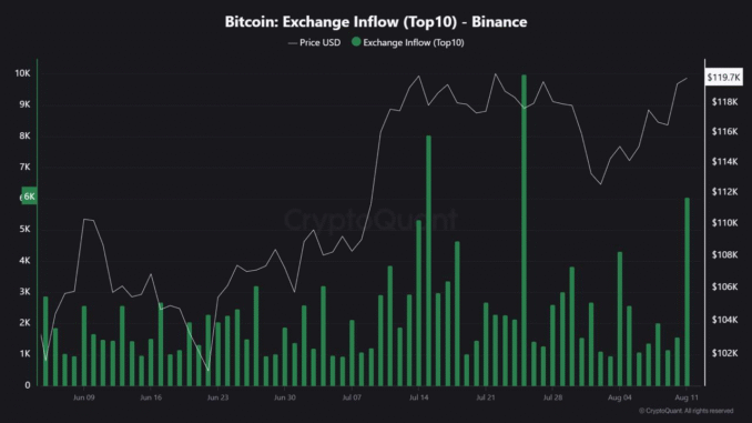 Why are Whales Moving Bitcoin to Binance? Weekly Whale Watch Bitcoin Binance Exchange Inflow