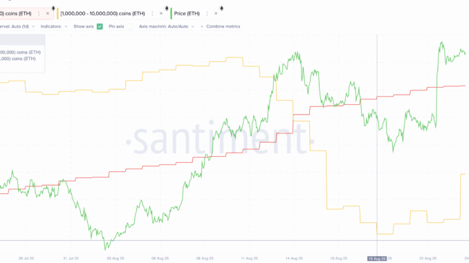 Ethereum Holders Continue To Accumulate