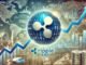 Ripple XRP