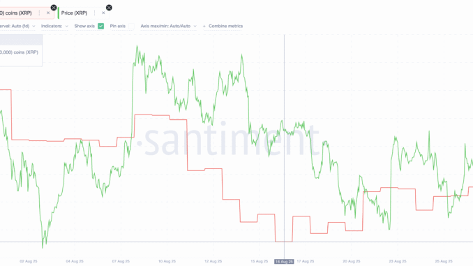 XRP Whales Keep Buying