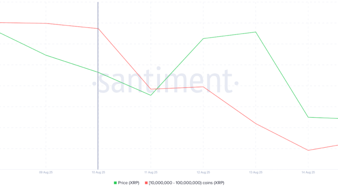 XRP Price Finds Support at $3 Even as Whales Note XRP Whale Holdings