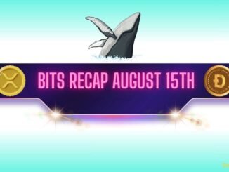 XRP and DOGE Whales Make Big Moves, BNB Set New Record: Bits Recap August 15th