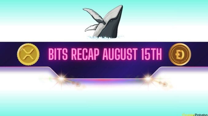 XRP and DOGE Whales Make Big Moves, BNB Set New XRP and DOGE Whales Make Big Moves, BNB Set New Record: Bits Recap August 15th