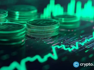 crypto market gainer