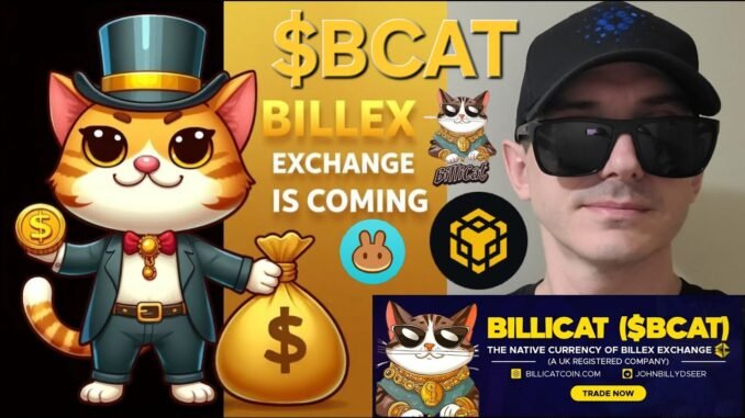 $BCAT - BilliCat TOKEN CRYPTO COIN HOW TO BUY BCAT BILLEX EXCHANGE PANCAKESWAP DEX BNB BSC CHAIN CAT