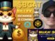 $BCAT - BilliCat TOKEN CRYPTO COIN HOW TO BUY BCAT BILLEX EXCHANGE PANCAKESWAP DEX BNB BSC CHAIN CAT