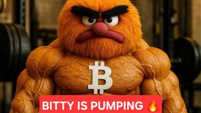 BITTY IS PUMPING  📈📈📈💯🤑🚀🌑💯