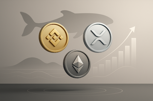 BNB and XRP whale volumes surge as traders track hidden accumulation signals