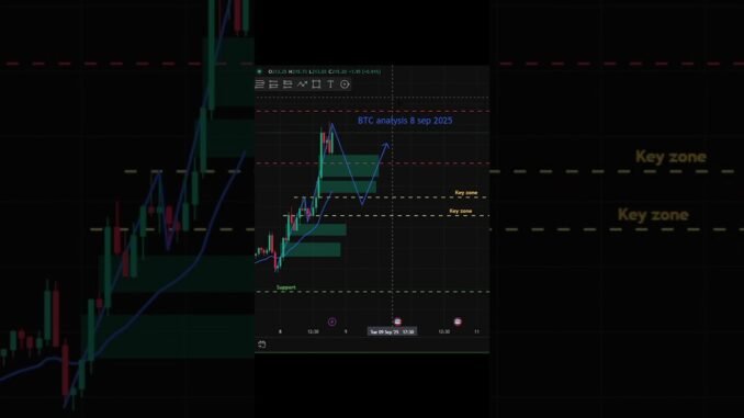 BTC analysis #btc #stockmarket #liquidity #crypto #trading #cryptotrading #cryptocurreny