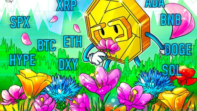 Bitcoin Liquidations Hit 1-Year Record, Altcoins Follow