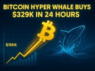 Bitcoin Prepares for Another Surge as Whales Buy $329K Bitcoin Hyper in a Day.