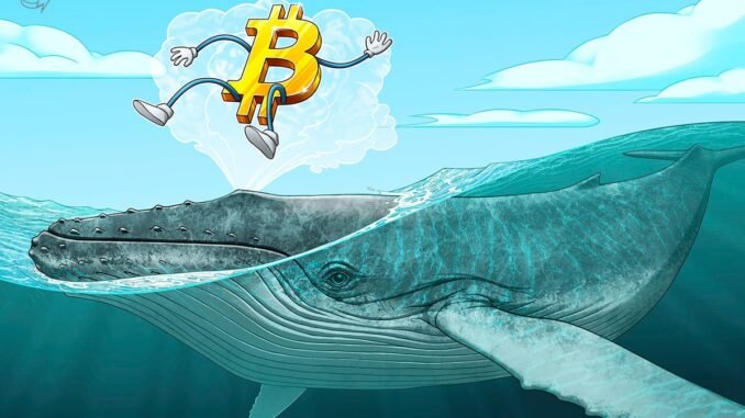 Bitcoin Whales Dump $12.7B In Largest Selloff Since 2022