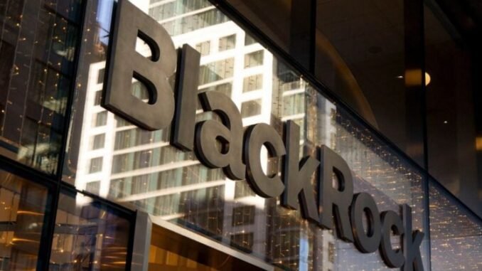 BlackRock to tokenize ETFs after success with Bitcoin fund BlackRock to tokenize ETFs after success with Bitcoin fund
