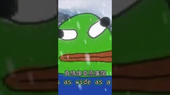 Borpa Love 🤩#memecoin #solana #pumpfun #dexscreener #dextools #binance #mexc #cryptonews