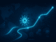 Cardano news